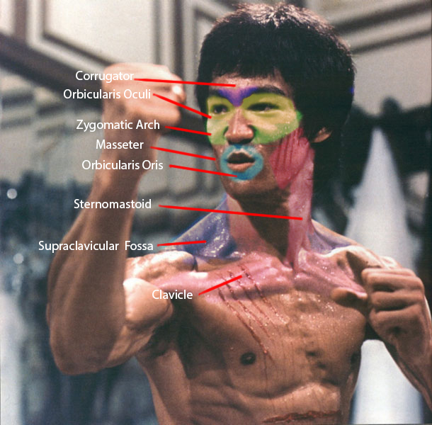 Bruce Lee Practice Chart